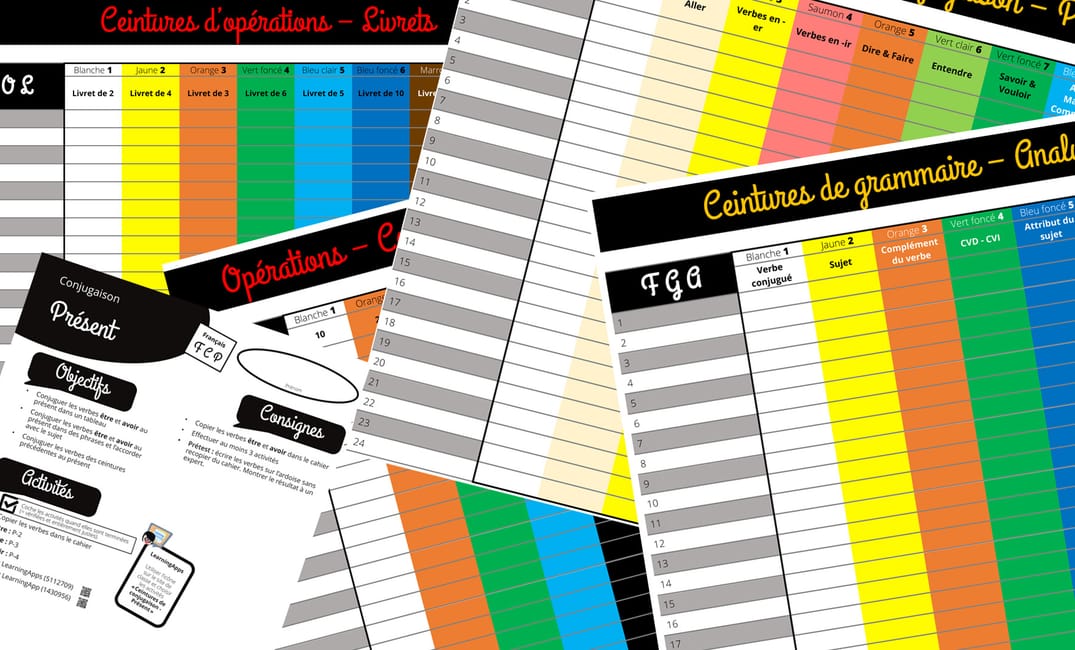 4 mois d’enseignement avec les ceintures