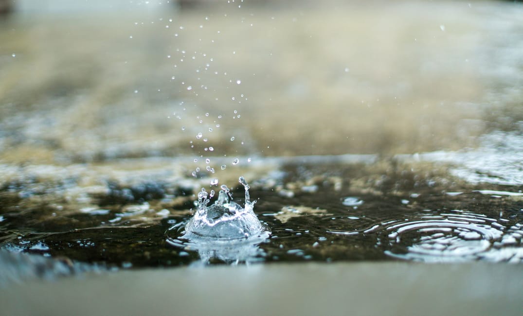 Choisir ses batailles