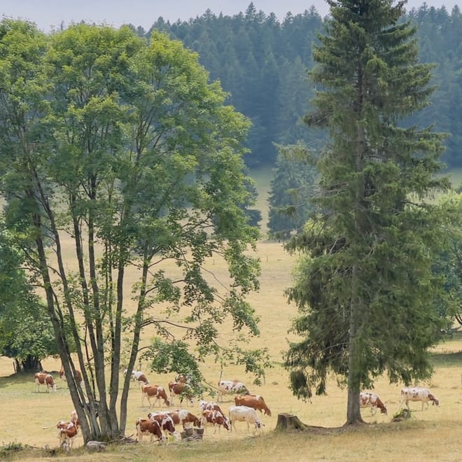 Image de : Vais-je y arriver ? (Jour 6)