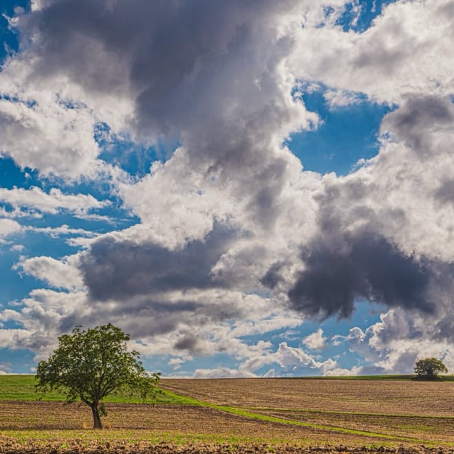 Image de : Pause (Jour 19)
