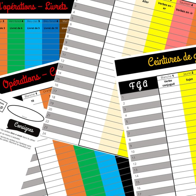 Image de : 4 mois d’enseignement avec les ceintures