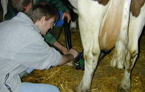 Image de : Tous à la ferme!